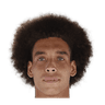 Witsel